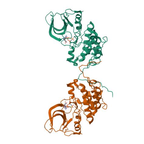 Rcsb Pdb Kex Crystal Structure Of The Catalytically Inactive Kinase