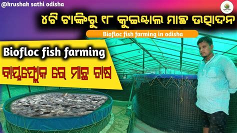 Biofloc Fish Farming In Odisha