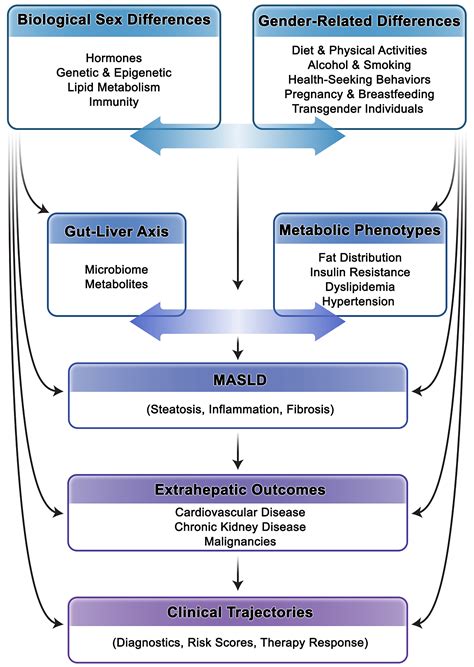 Sex And Gender Differences In MASLD Pathophysiological Mechanisms