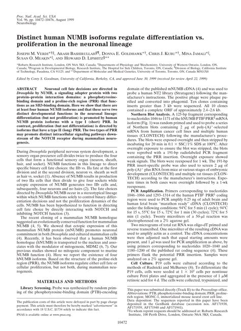 PDF Distinct Human NUMB Isoforms Regulate Differentiation Vs