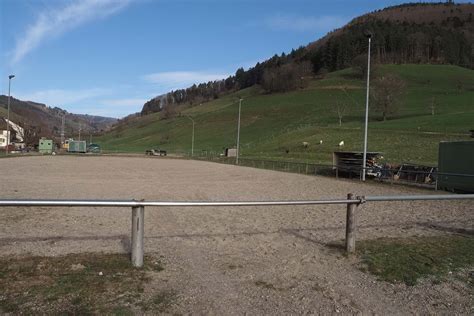 Reitplatz Münstertal Schwarzwald Tourismus GmbH