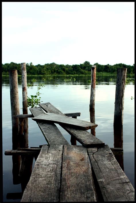 Venezuela Delta Del Orinoco Susana Busquets Flickr