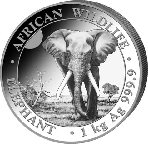 Kg Silber Somalia Elefant