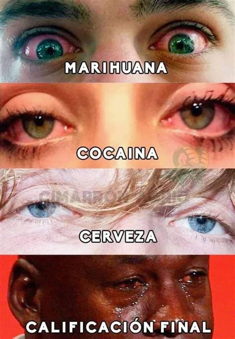 Pin De Paty Rodval En Memes Imagenes Chistosas Para Reir Fotos