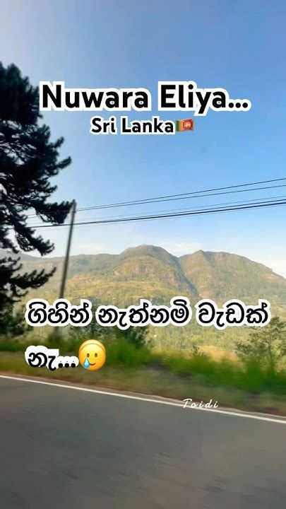 How Is Nuwara Eliya In Sri Lsnka😱😍ආසම තැනක්travelnatureamezingtourisam2024viralshorts 🇱🇰