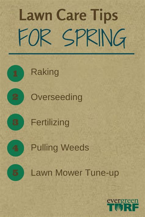 Lawn Care Tips For Spring Lawn Care Tips Lawn Care Lawn