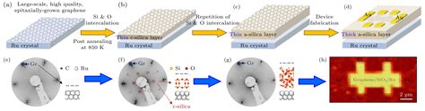 Novel Two Dimensional Materials And Their Heterostructures Constructed