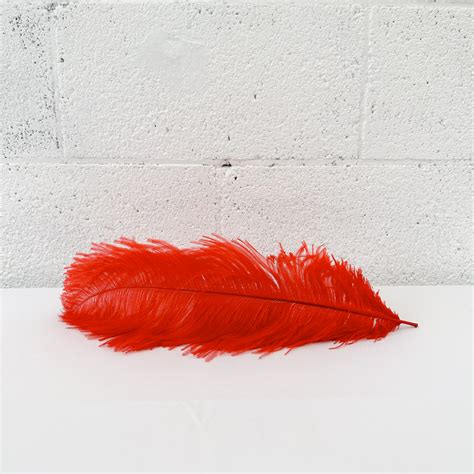 Ostrich Feather - Red - The Event Girl