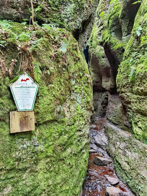 DRACHENSCHLUCHT EISENACH Grüne Magie in Thüringen