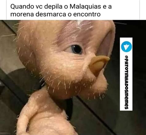 Quando Vc Depila O Malaquias E A Morena Desmarca O Encontro LA R