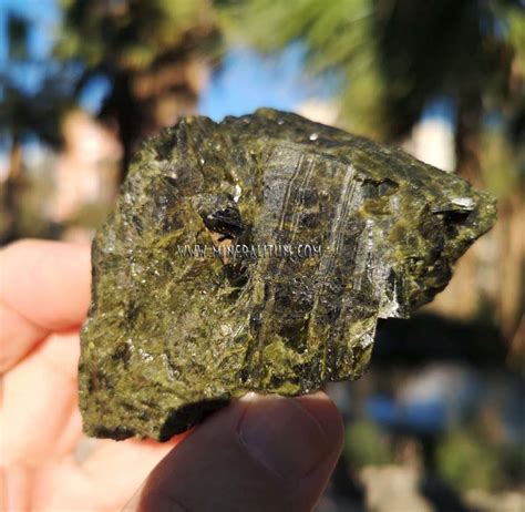 Green Tourmaline Brazil Mineralitum Exclusive Minerals Online