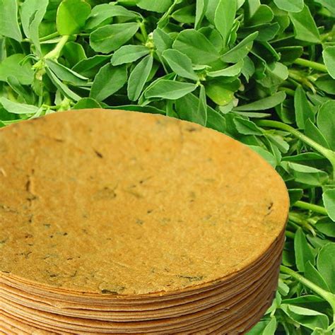 Methimasala Round Methi Khakhra Packaging Size G Packaging Type