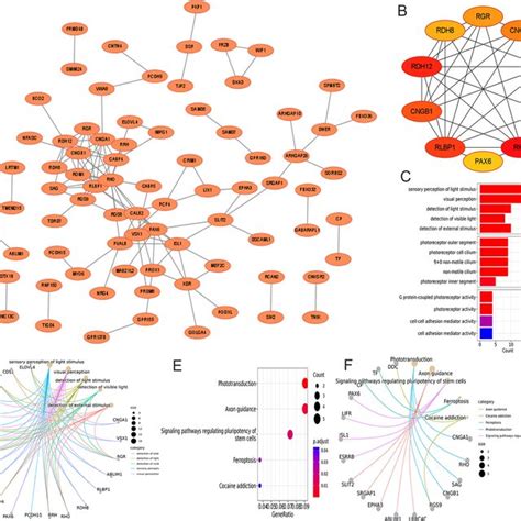 A Proteinprotein Interaction Ppi Network Of Differentially Expressed