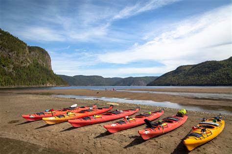 Saguenay Fjord National Park Wildlife Location In Canada North America