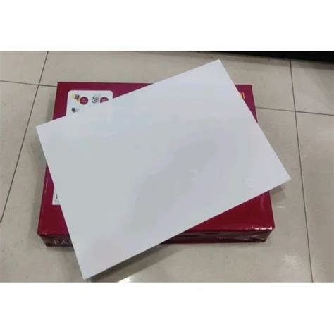 100 Gsm Paper One A4 Size Copier Paper For Printingphotocopy At ₹ 749