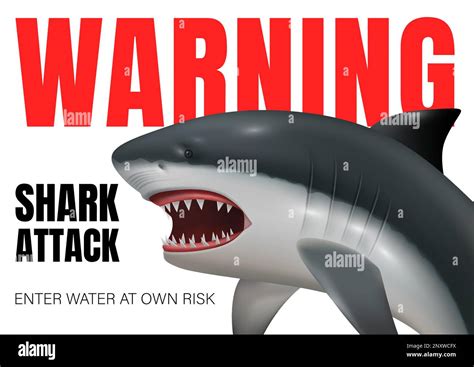 Realistic Shark Poster With Dangerous Predator Image And Warning Text