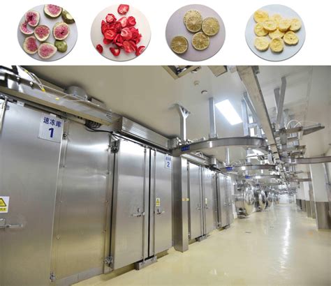 Maintenance Plant Fruit Freeze Drying Dryer Lyophilization Machine