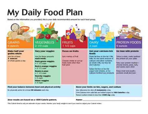 Example Of The Daily Food Plan You Get Via The Usda Choose My Plate