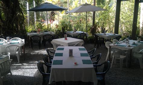 The Venue Arranged Daintree Tea House Restaurant Afternoon Teahigh