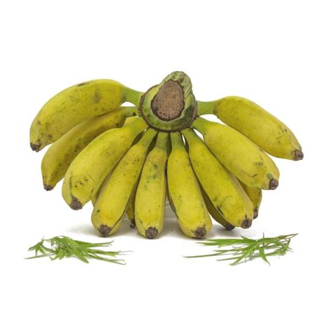 Organic Banana Raja (Pisang Raja) | Lazada