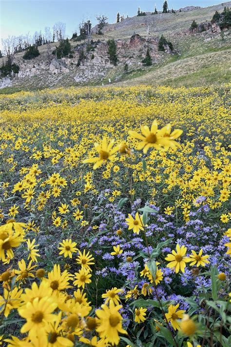 Lesser Known Hikes In Jackson Hole Wy Wander With Wonder