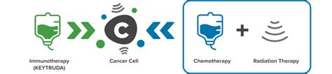 Keytruda With Chemotherapy And Radiation Therapy Helps Fight Cancer Cells