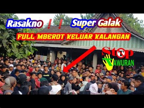 Bantengan Galak Keluar Pagar Manggolo Cahyo Mudo Live Panjer