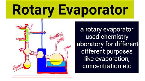 1.3 Rotary Evaporator Principle And Application