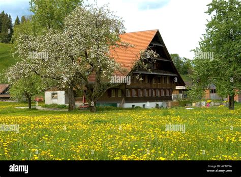 Typical Farm House In The Emmental Switzerland Stock Photo Alamy