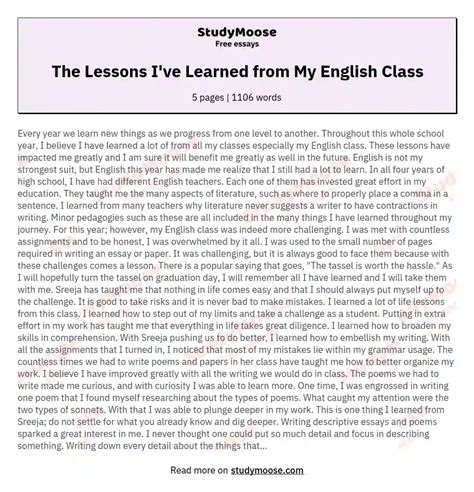 The Lessons Ive Learned From My English Class Free Essay Example