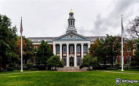 Best Harvard Online Courses (2025) - Top 7 Worthy Options