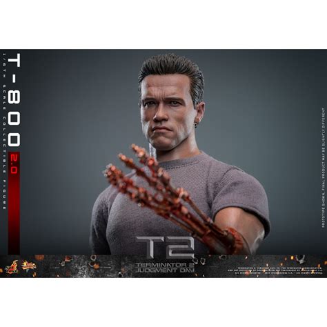 Hot Toys Terminator 2 Judgment Day MMS 1 6 T 800 V2 0 Figurine