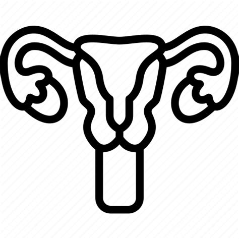 Reproductive Female Ovary Gynecology Health Icon Download On