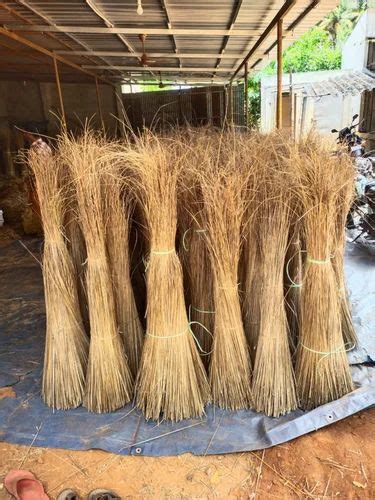 Coconut Stick Brooms At Rs Kg Nariyal Jhadu In Chennai Id