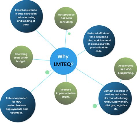 Sap Master Data Governance Mdg Implementation Lmteq