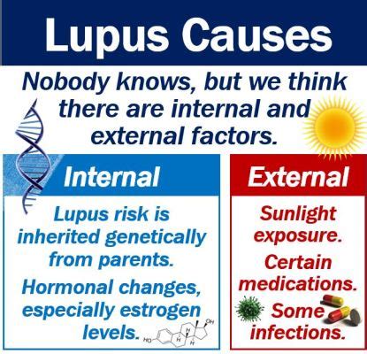 Lupus causes - probably a combination of factors - MBN Health