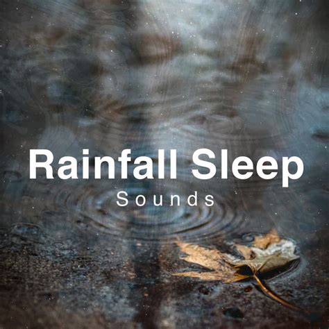 Rainfall Sleep Sounds Album By Rainfall For Sleep Spotify