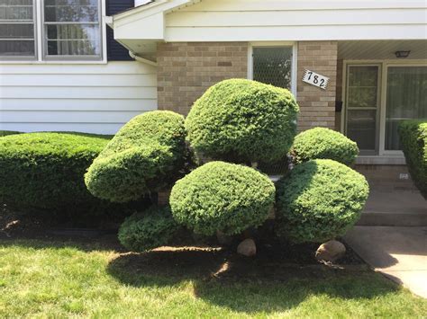 Yard Maintenance - Boss Outdoor Service