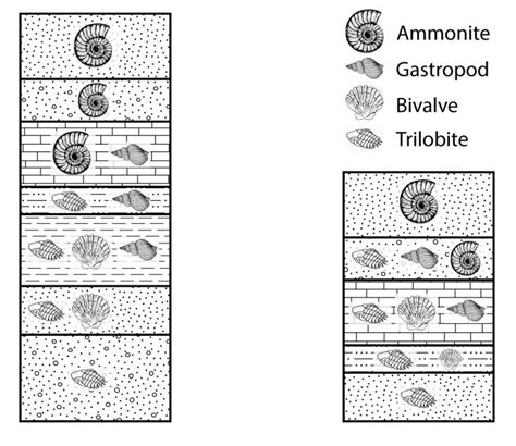 Chapter 3 Geologic Time The Story Of Earth An Observational Guide