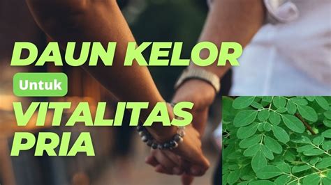 5 Manfaat Daun Kelor Untuk Vitalitas Pria Youtube