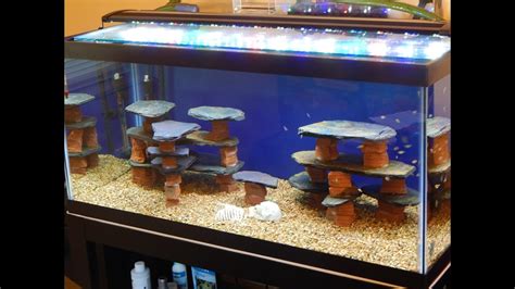 Extra Large Fish Tank Decorations