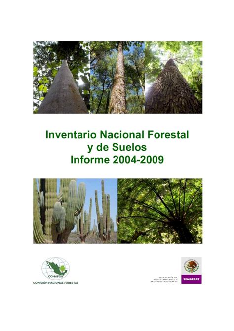 PDF Inventario Nacional Forestal Y De Suelos Informe 2004 2009 2014