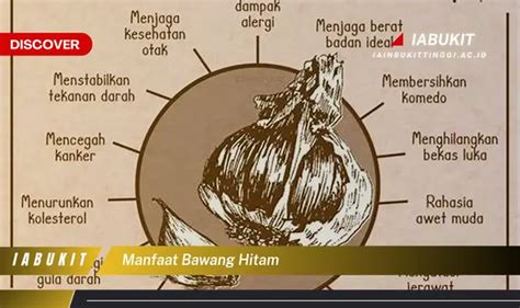 Temukan 7 Manfaat Bawang Hitam Yang Bikin Kamu Penasaran