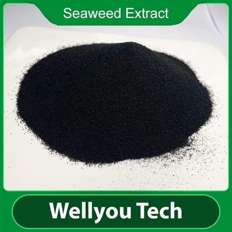 Powder Flake Seaweed Extract Agricultural Use Raw Material Fertilizer