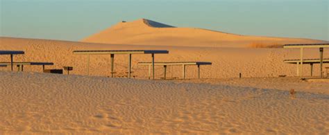 Beyond Jelm Mountain: MONAHANS SANDHILLS STATE PARK