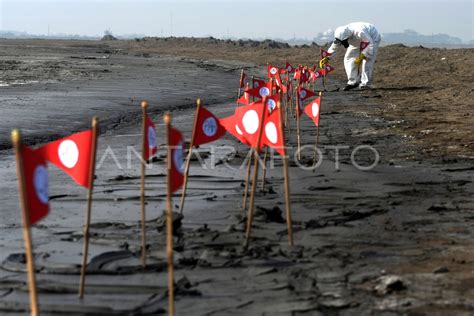 Tahun Semburan Lumpur Lapindo Antara Foto