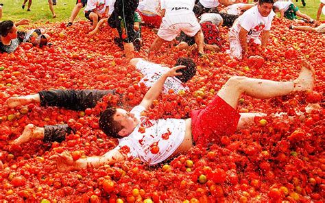 My City - La Tomatina