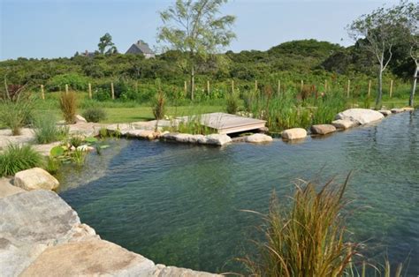 Comment Construire Un Piscine Naturelle Le Bon Guide