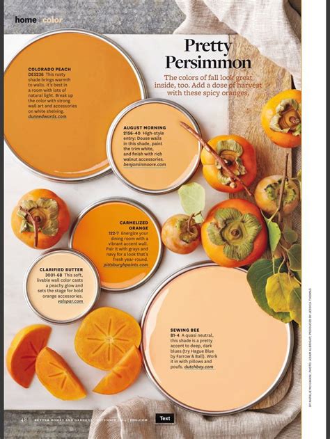 Color Inspiration Better Homes And Gardens Pretty Persimmon Paint