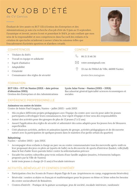 Cv Job D T Exemple Et Conseils De R Daction